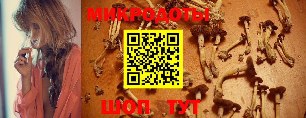 Нижний Новгород  Псилоцибиновые грибы Psilocybine cubensis  Вход с VPN  Псилоцибиновые грибы MAGIC MUSHROOMS 
